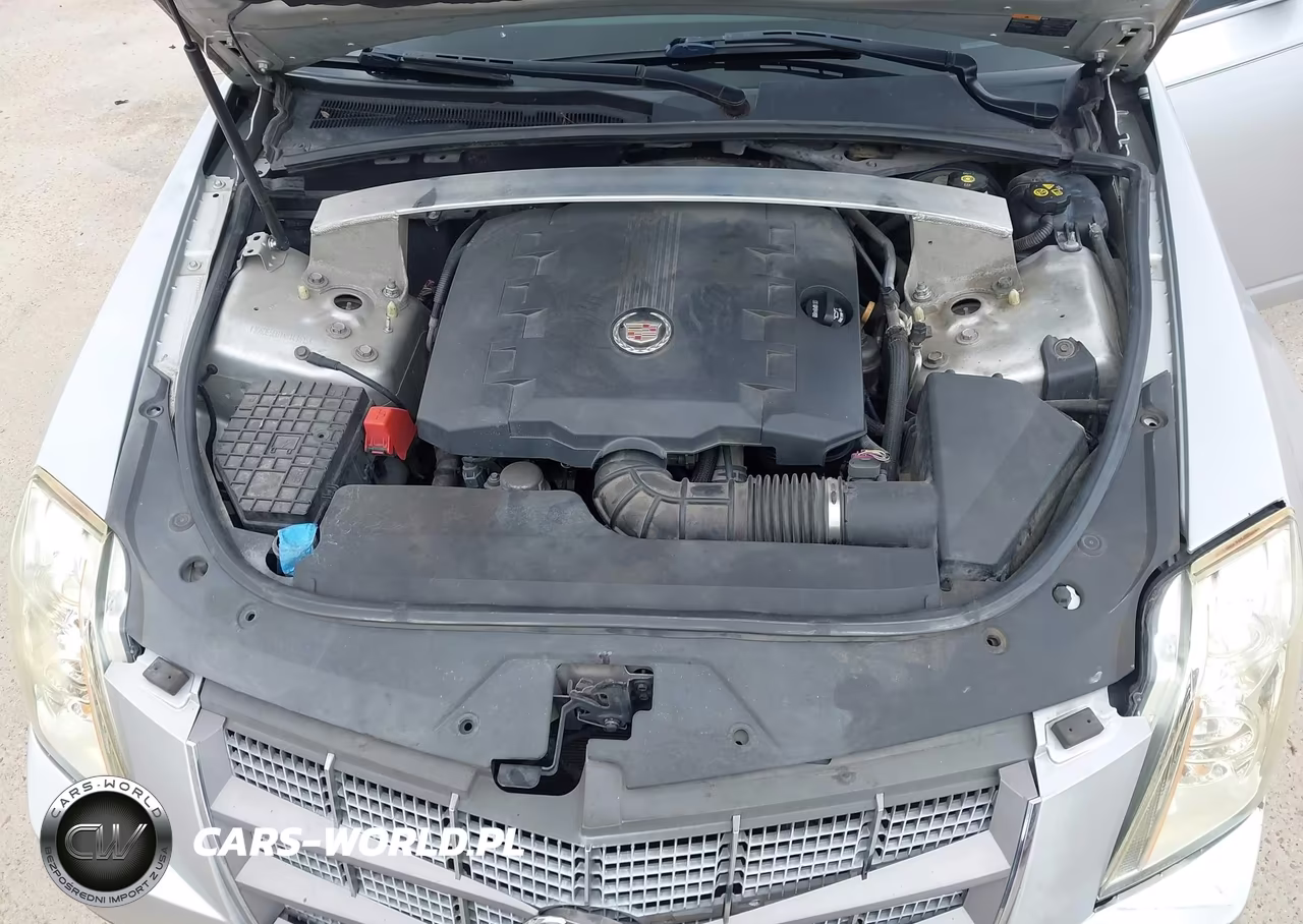 2010 Cadillac Cts Luxury VIN:1G6DE5EG1A0143615 - 10