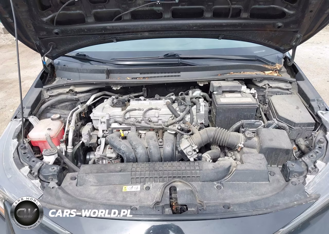 2020 Toyota Corolla Le VIN:5YFEPRAE9LP117148 - 10