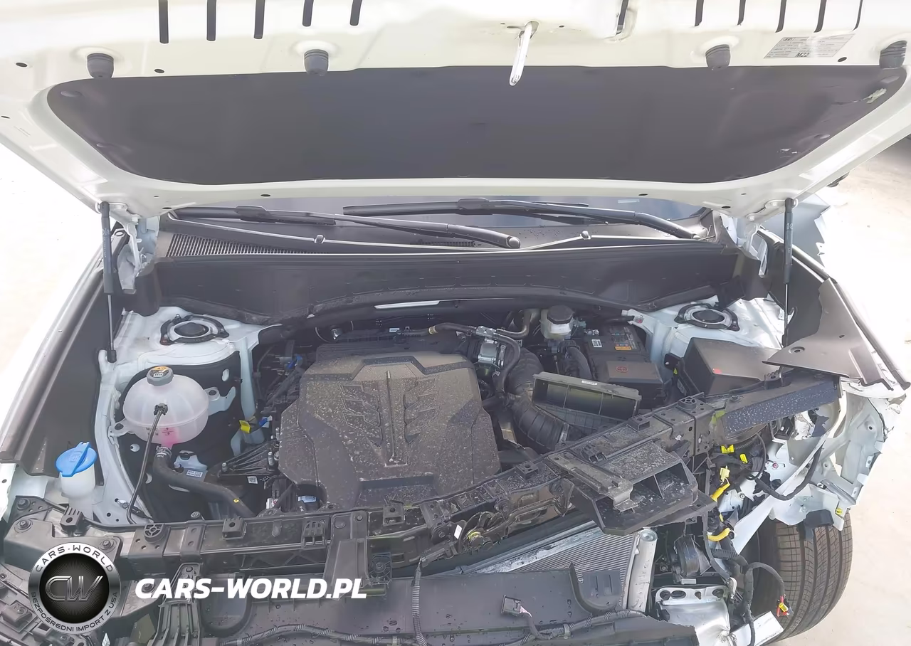 2026 Hyundai Palisade Calligraphy VIN:KM8RM5S21TU092784 - 10