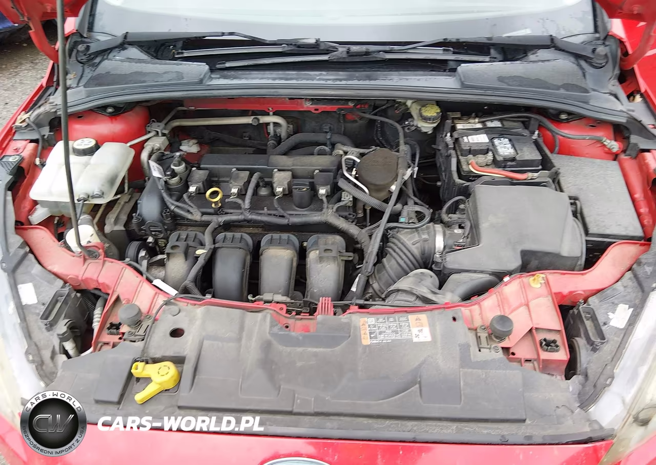 2015 Ford Focus Se VIN:1FADP3F20FL302439 - 10