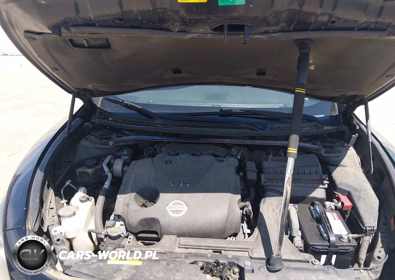 2009 Nissan Maxima 3.5 Sv VIN:1N4AA51E49C828501 - 10