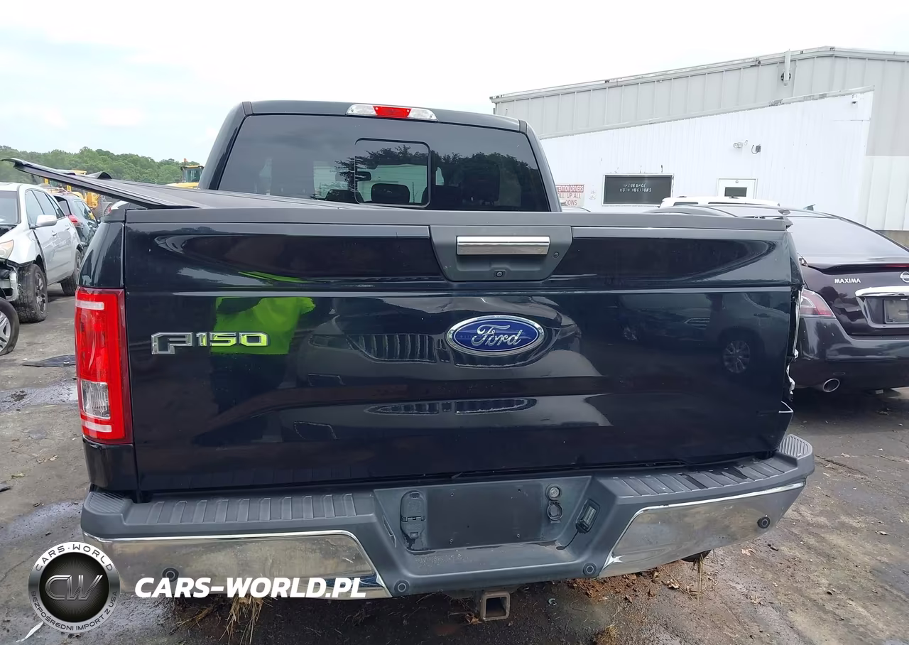 2016 Ford F-150 Xlt VIN:1FTEW1CG0GFA35082 - 16
