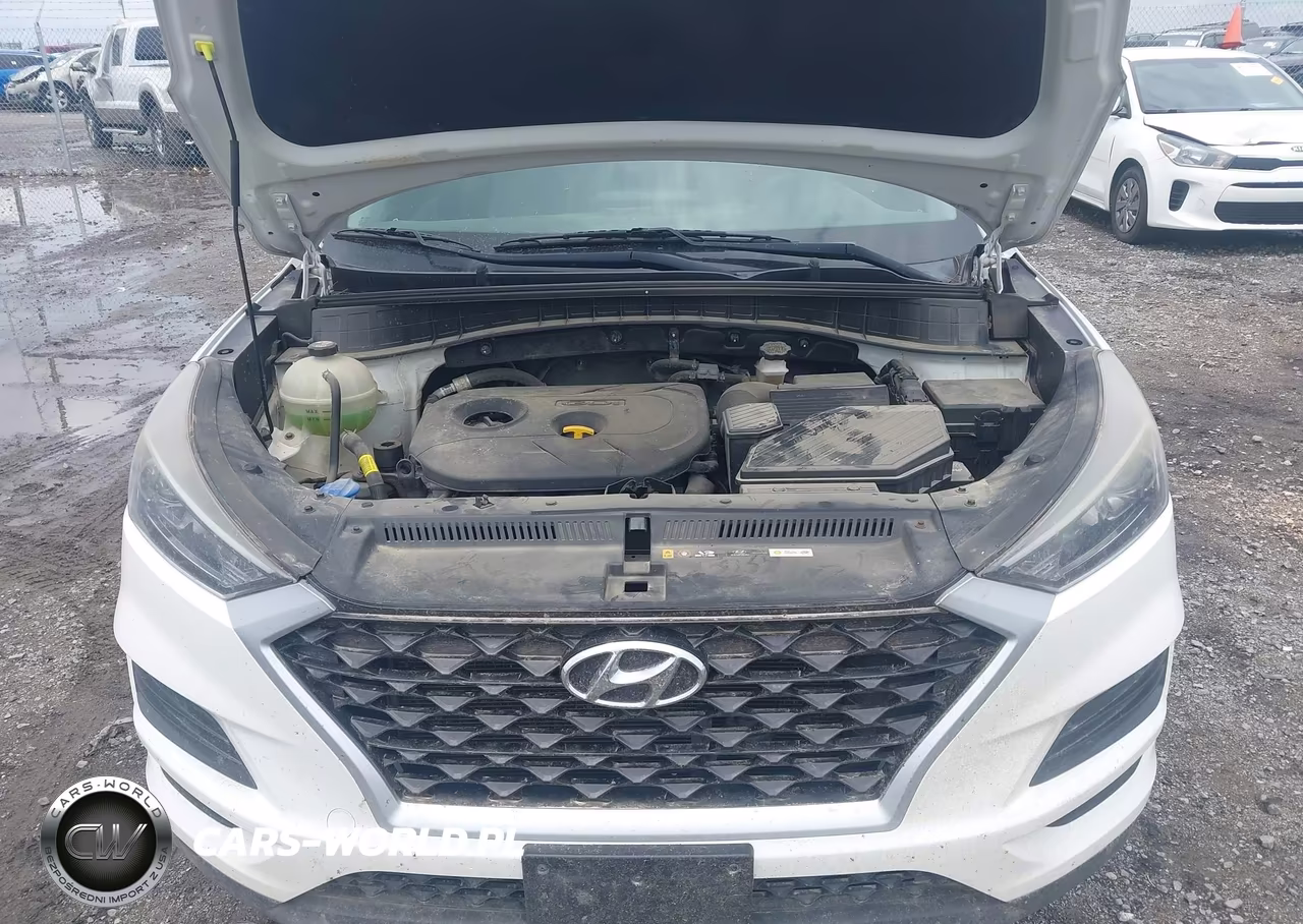 2019 Hyundai Tucson Se VIN:KM8J2CA49KU889454 - 10