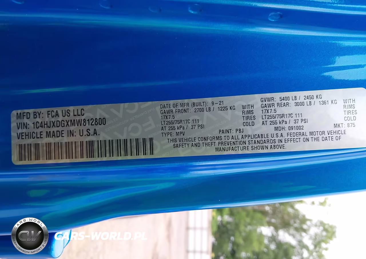 2021 Jeep Wrangler Unlimited Willys 4X4 VIN:1C4HJXDGXMW812800 - 9