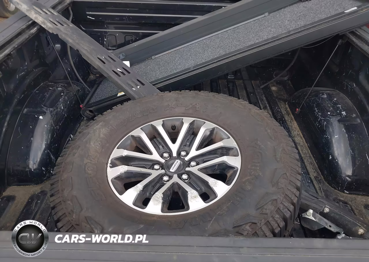 2020 Ford F-150 Raptor VIN:1FTFW1RG3LFA68986 - 11