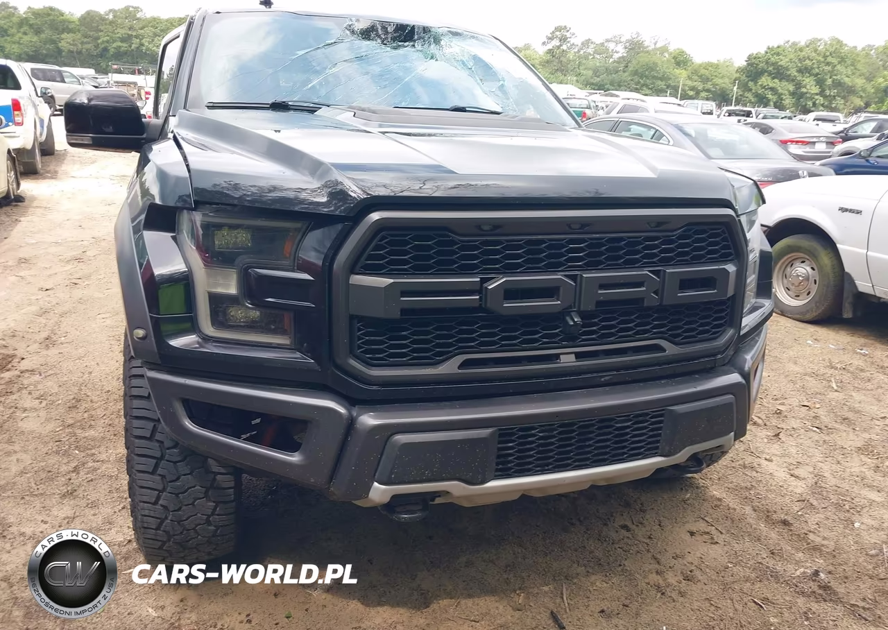 2020 Ford F-150 Raptor VIN:1FTFW1RG3LFA68986 - 12