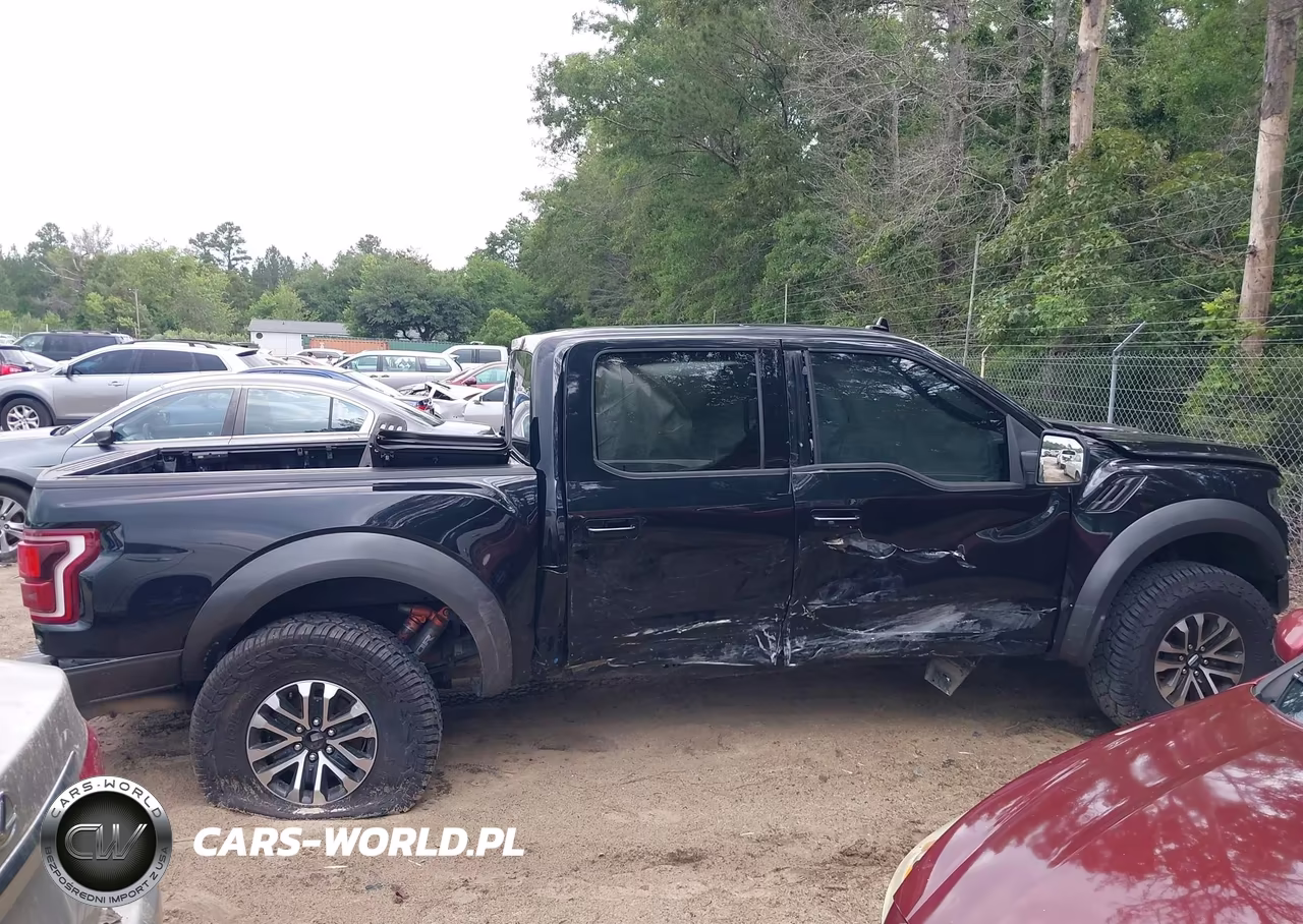 2020 Ford F-150 Raptor VIN:1FTFW1RG3LFA68986 - 13