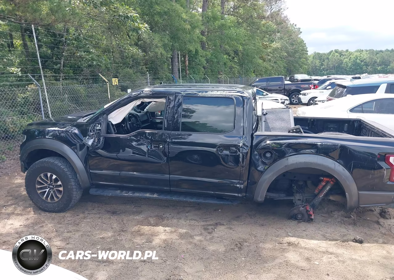 2020 Ford F-150 Raptor VIN:1FTFW1RG3LFA68986 - 14