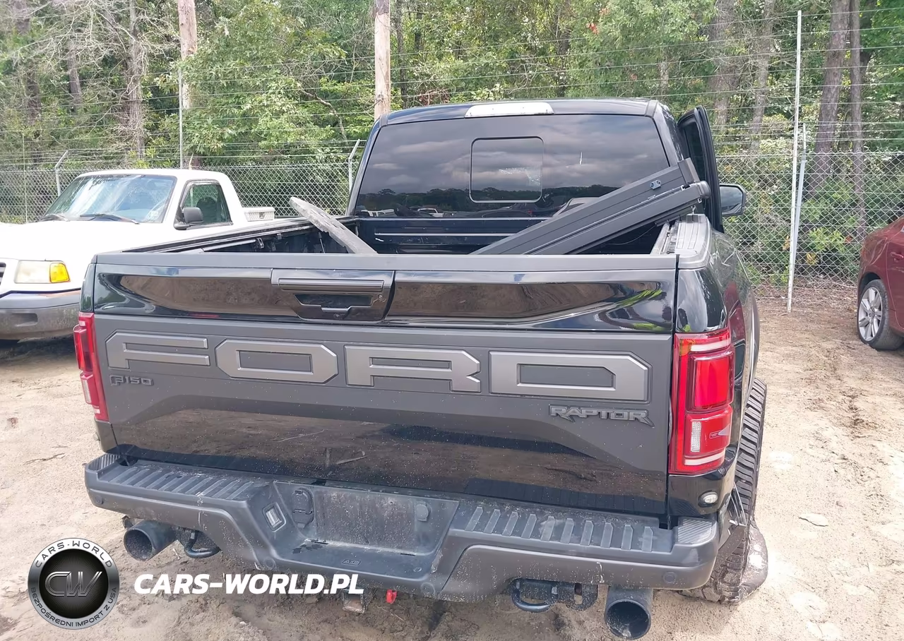 2020 Ford F-150 Raptor VIN:1FTFW1RG3LFA68986 - 16