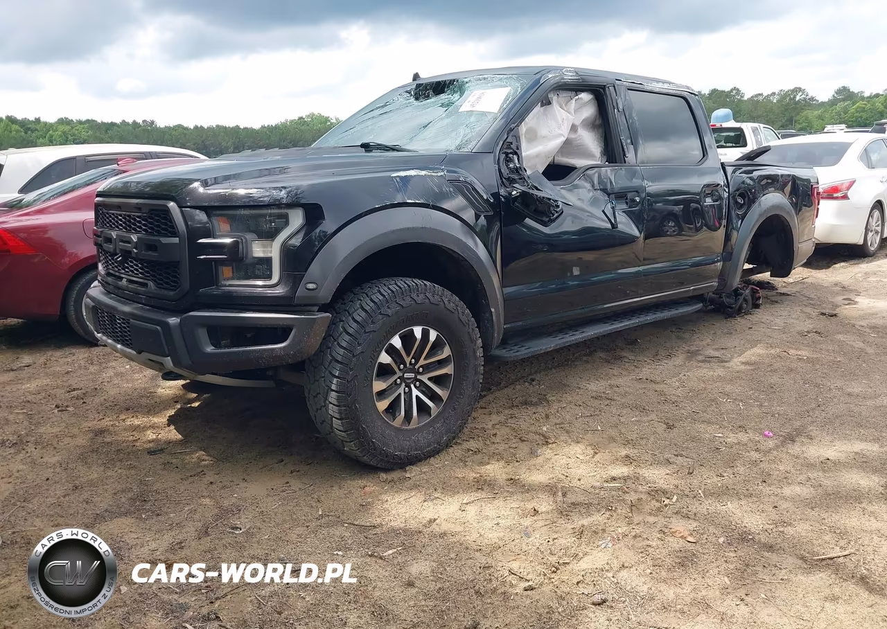 2020 Ford F-150 Raptor VIN:1FTFW1RG3LFA68986 - 2