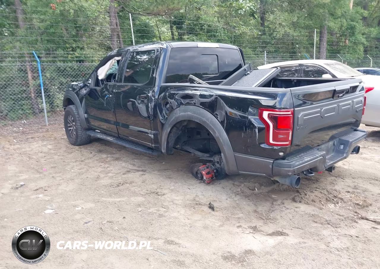 2020 Ford F-150 Raptor VIN:1FTFW1RG3LFA68986 - 3