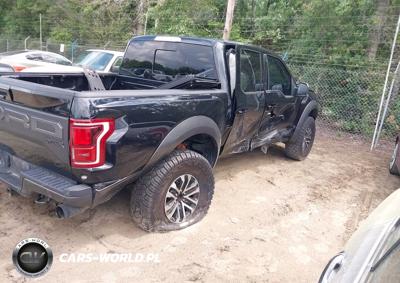 2020 Ford F-150 Raptor VIN:1FTFW1RG3LFA68986 - 4