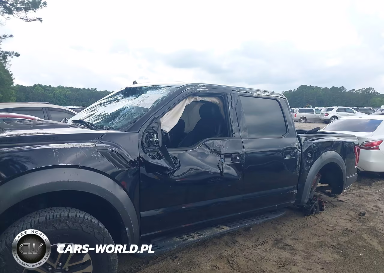2020 Ford F-150 Raptor VIN:1FTFW1RG3LFA68986 - 6