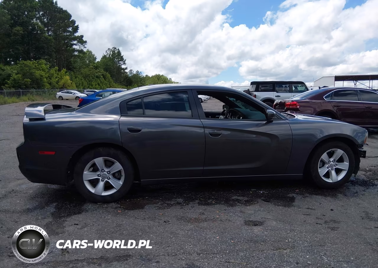 2013 Dodge Charger Sxt VIN:2C3CDXHG5DH601874 - 13