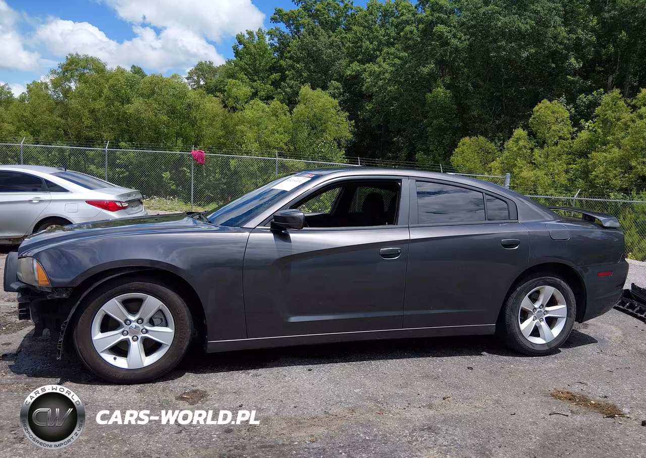 2013 Dodge Charger Sxt VIN:2C3CDXHG5DH601874 - 14