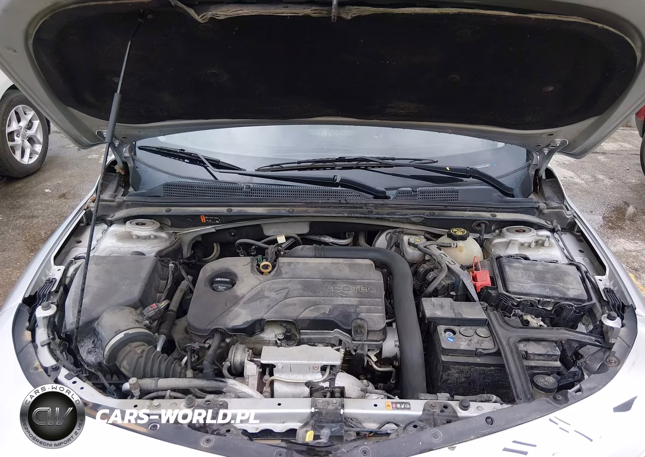 2019 Chevrolet Malibu Lt VIN:1G1ZD5ST2KF119967 - 10