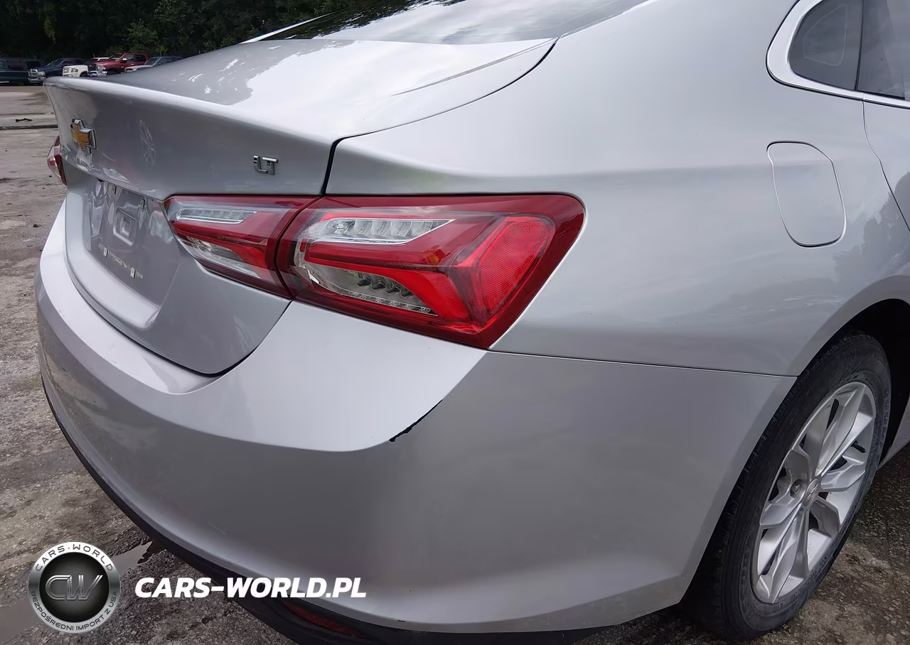 2019 Chevrolet Malibu Lt VIN:1G1ZD5ST2KF119967 - 18