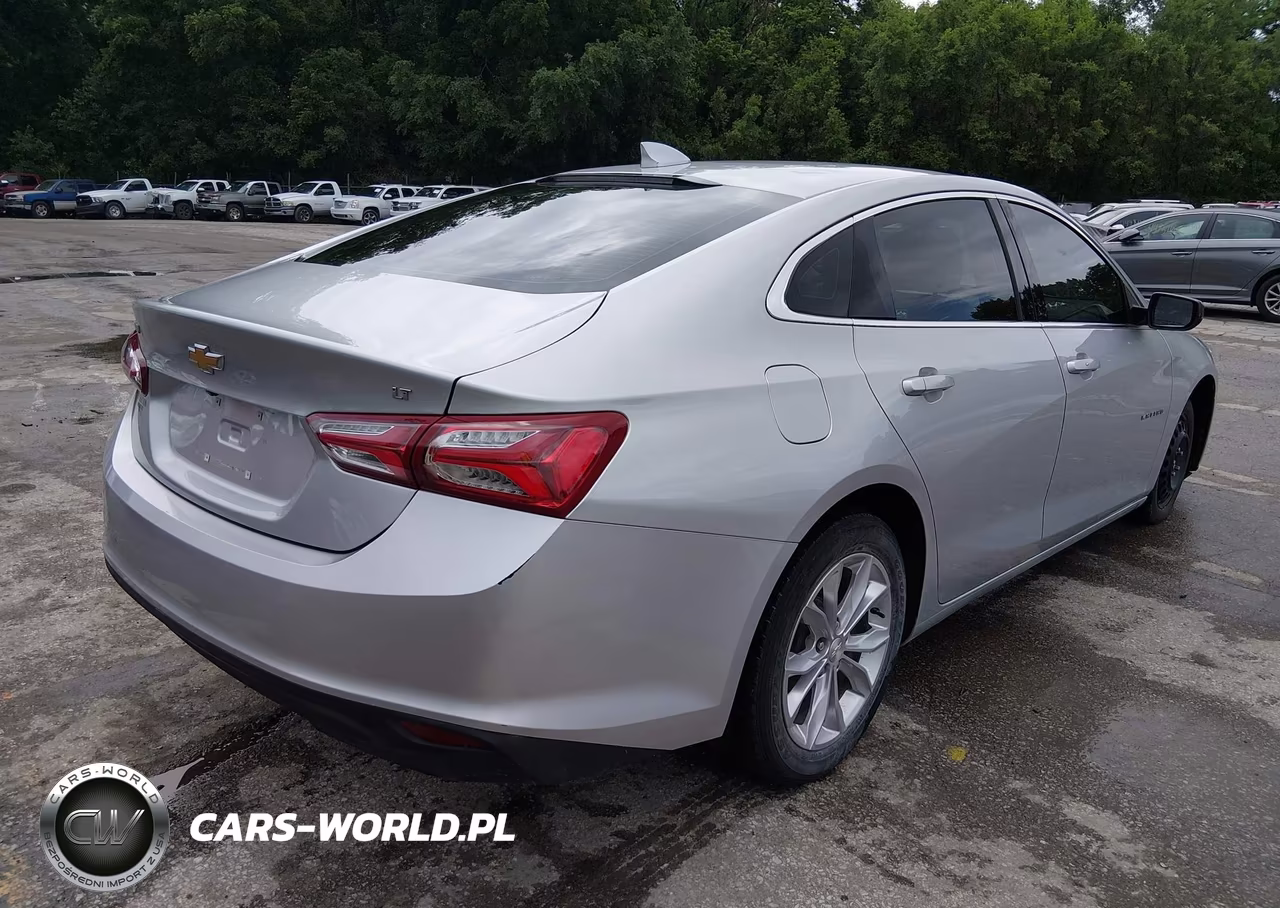 2019 Chevrolet Malibu Lt VIN:1G1ZD5ST2KF119967 - 4