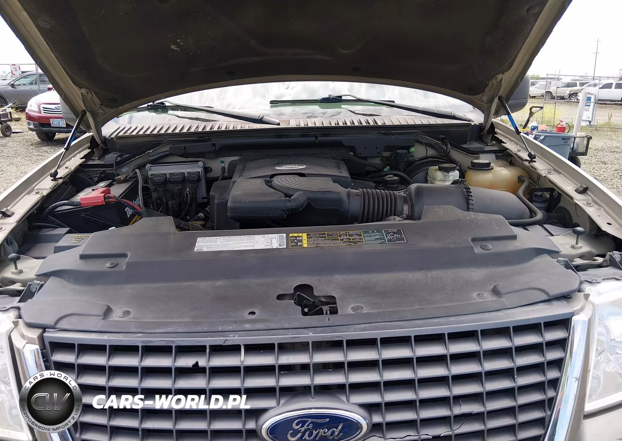 2003 Ford Expedition Xlt VIN:1FMFU16L13LB54995 - 10