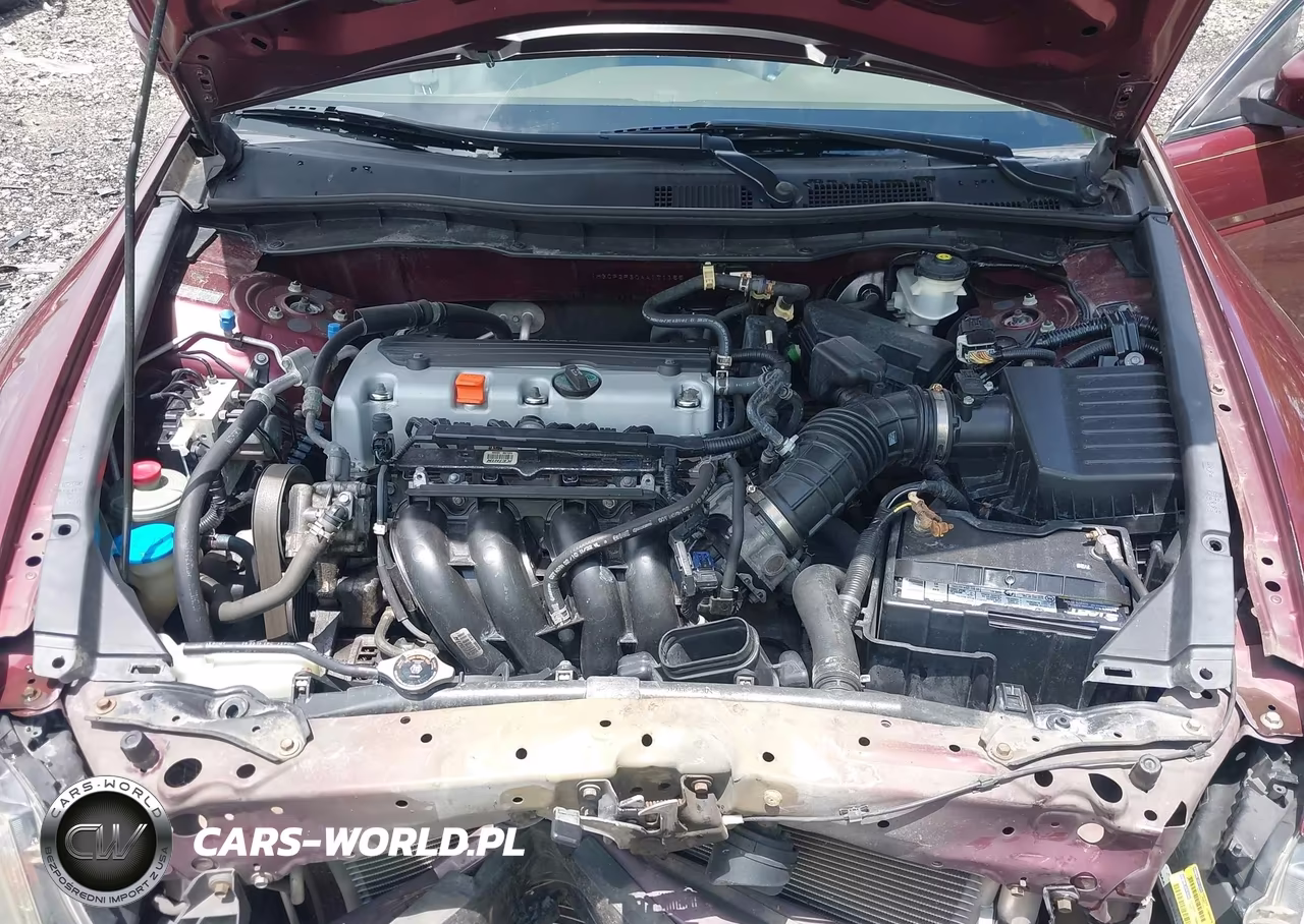 2010 Honda Accord 2.4 Lx VIN:1HGCP2F30AA171155 - 10