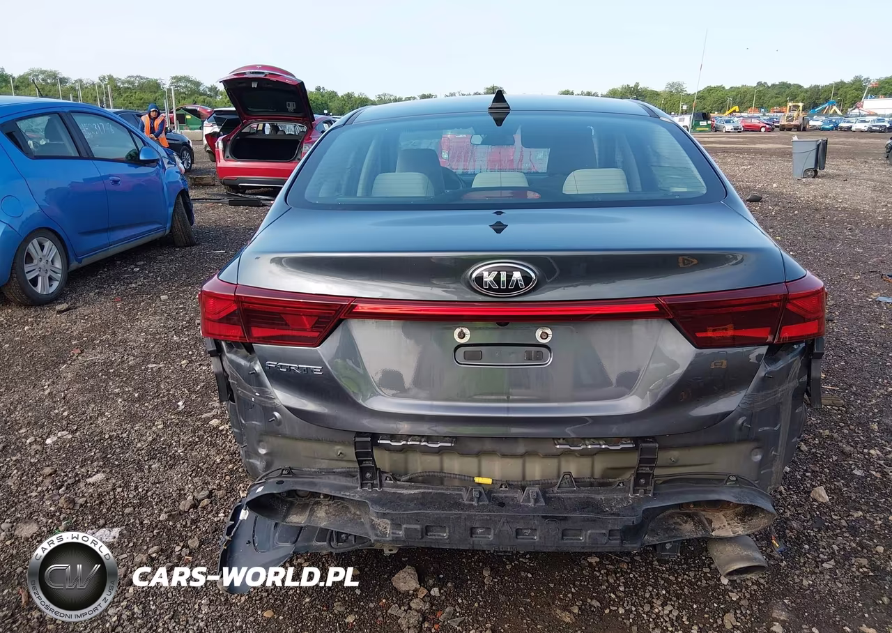 2020 Kia Forte Lxs VIN:3KPF24AD3LE260451 - 17