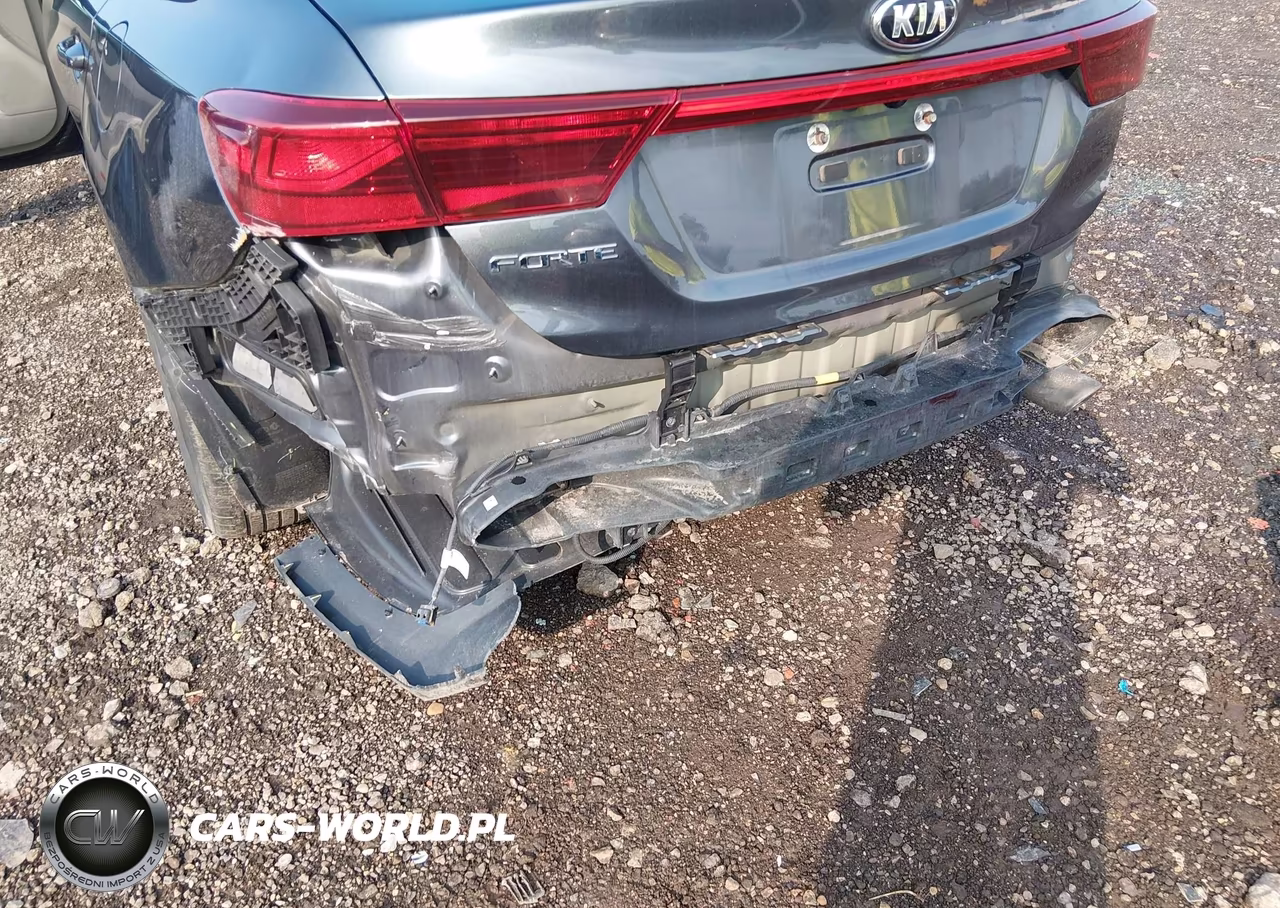 2020 Kia Forte Lxs VIN:3KPF24AD3LE260451 - 18