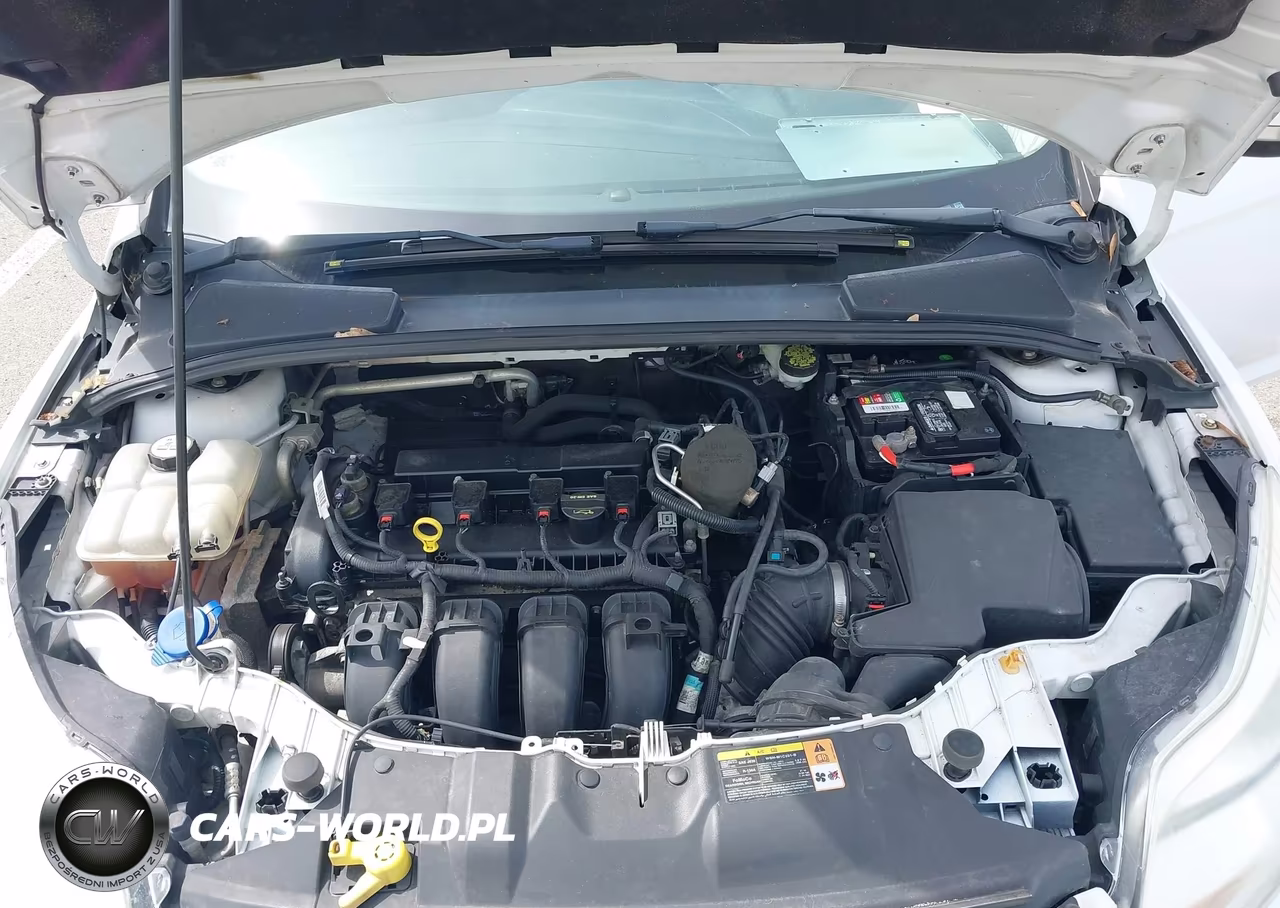 2013 Ford Focus Se VIN:1FADP3K23DL307699 - 10