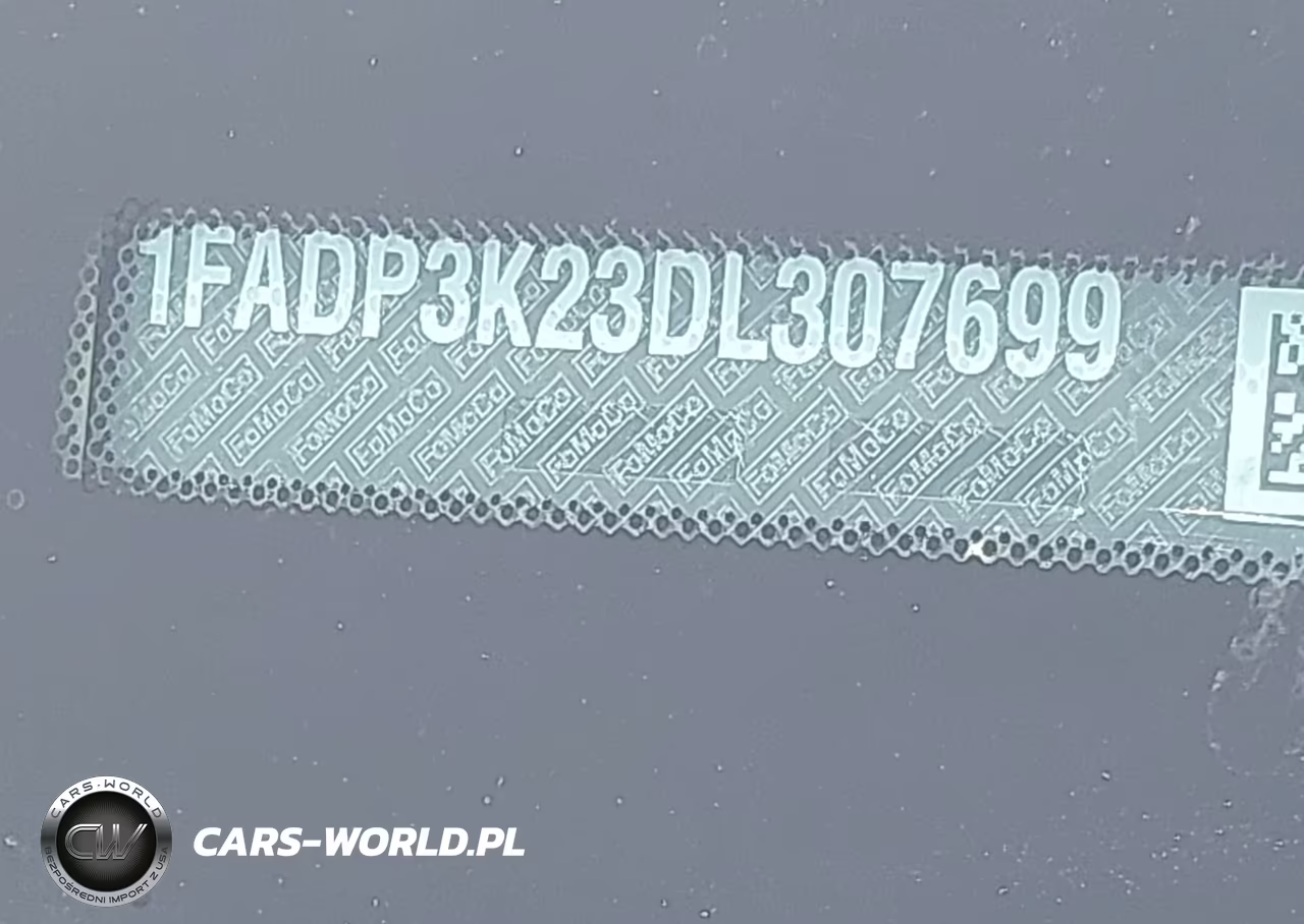 2013 Ford Focus Se VIN:1FADP3K23DL307699 - 9