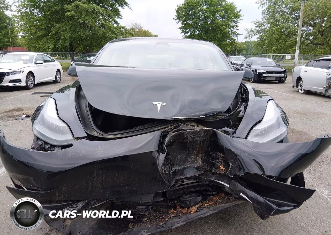 2022 Tesla Model 3 Rear-Wheel Drive VIN:5YJ3E1EA1NF336819 - 11