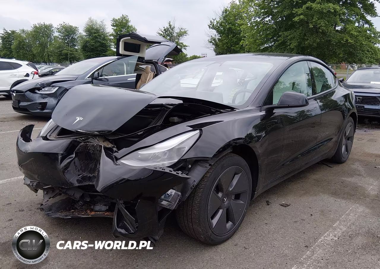 2022 Tesla Model 3 Rear-Wheel Drive VIN:5YJ3E1EA1NF336819 - 2