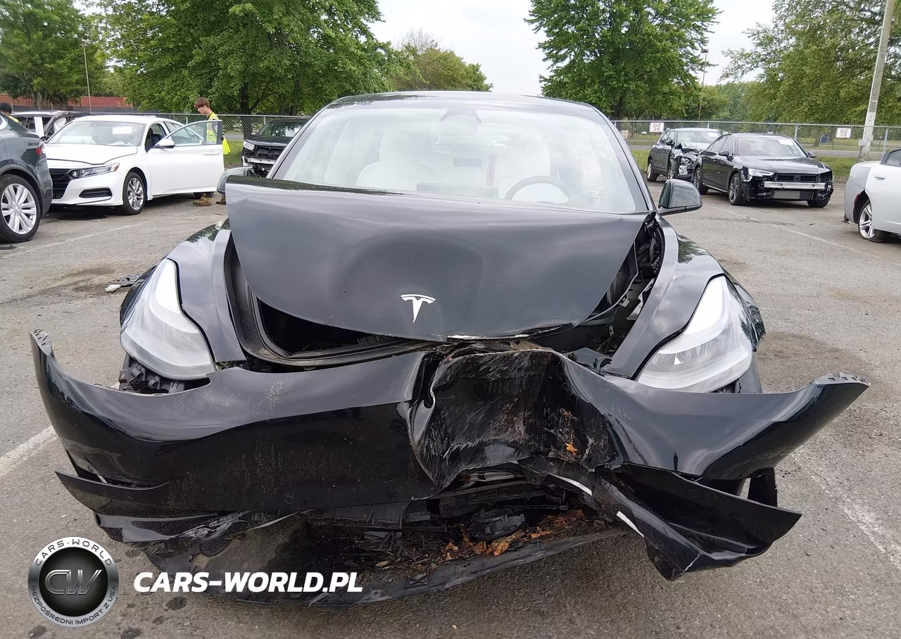 2022 Tesla Model 3 Rear-Wheel Drive VIN:5YJ3E1EA1NF336819 - 6