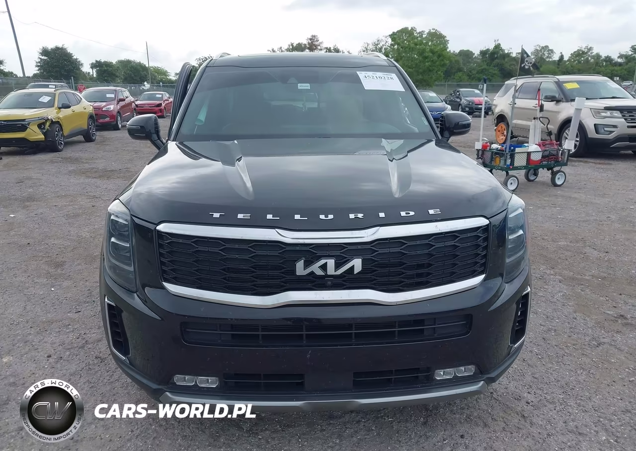 2022 Kia Telluride Sx VIN:5XYP54HC1NG231464 - 12