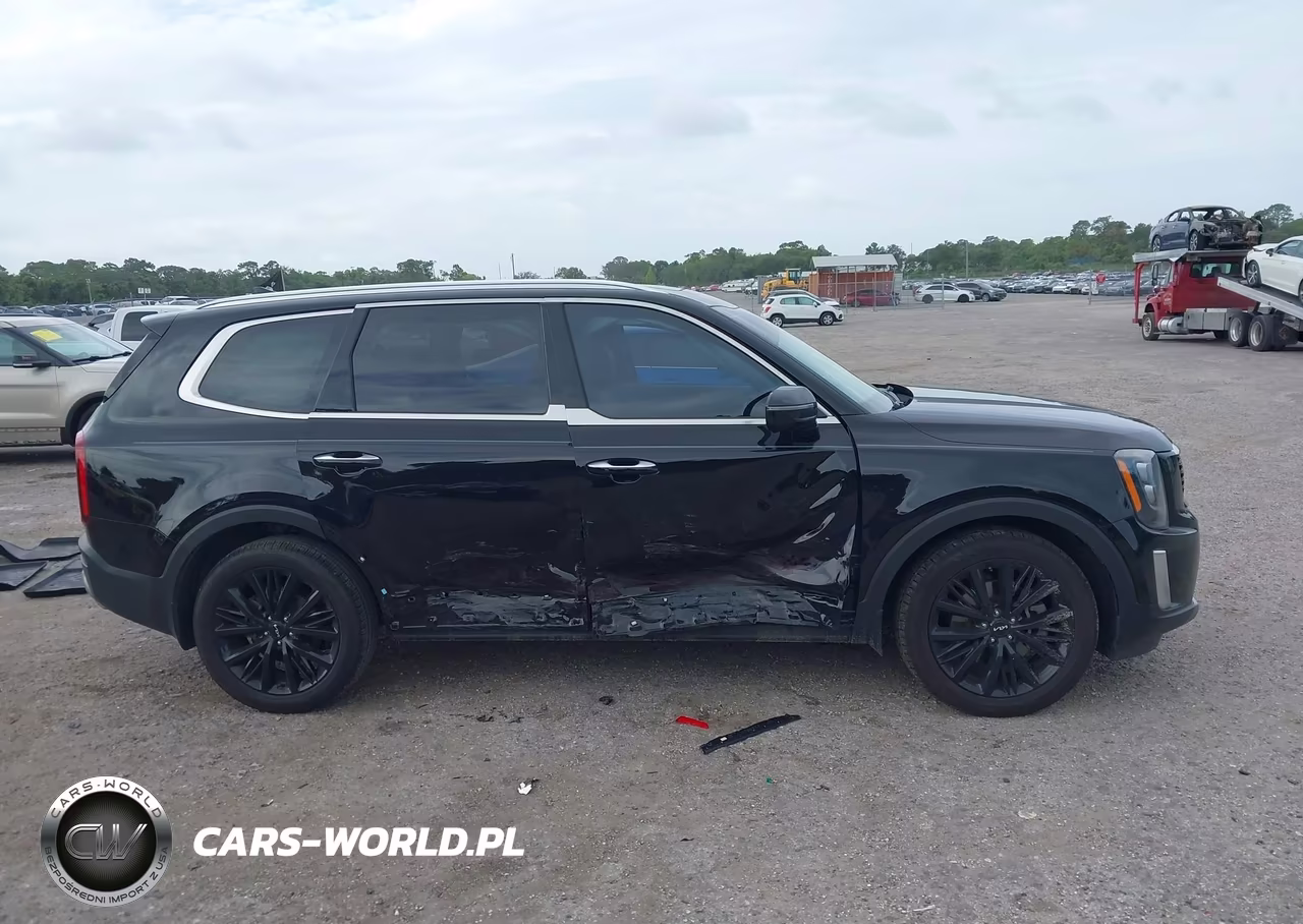 2022 Kia Telluride Sx VIN:5XYP54HC1NG231464 - 13