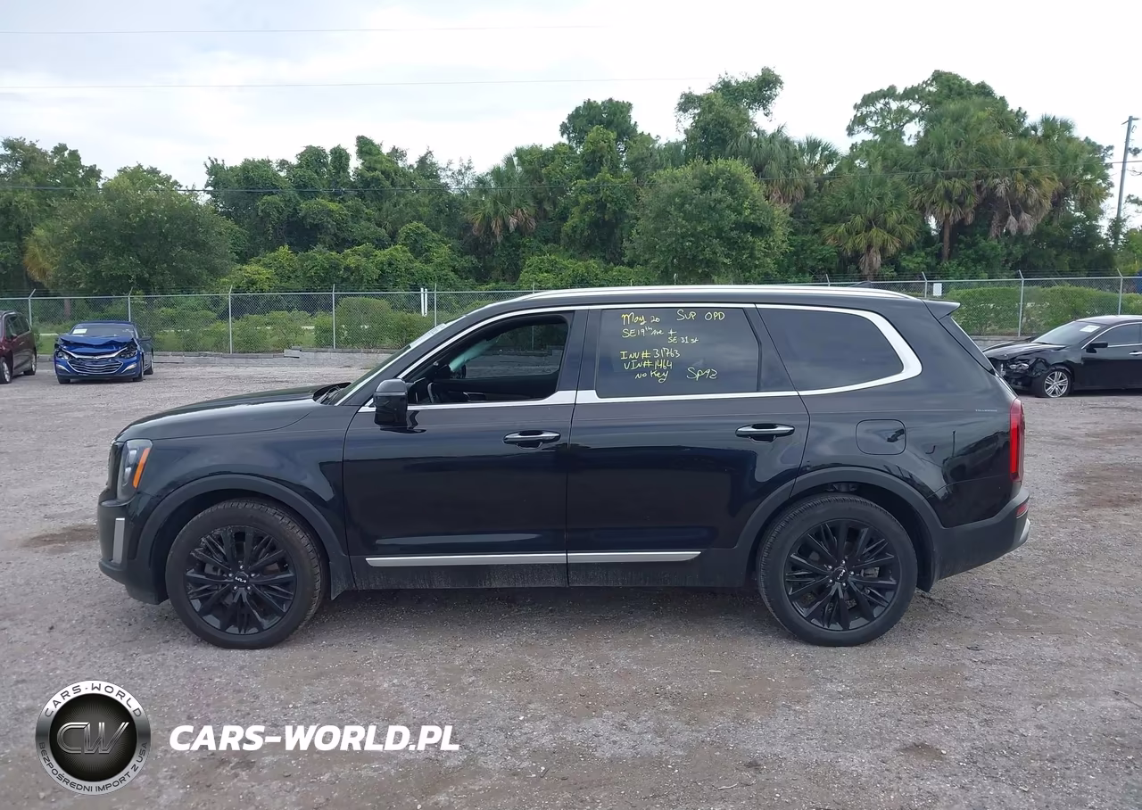 2022 Kia Telluride Sx VIN:5XYP54HC1NG231464 - 14