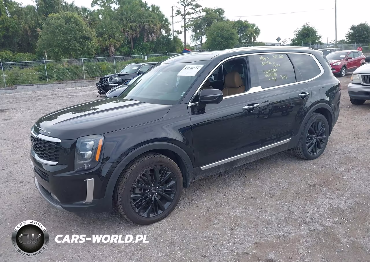 2022 Kia Telluride Sx VIN:5XYP54HC1NG231464 - 2