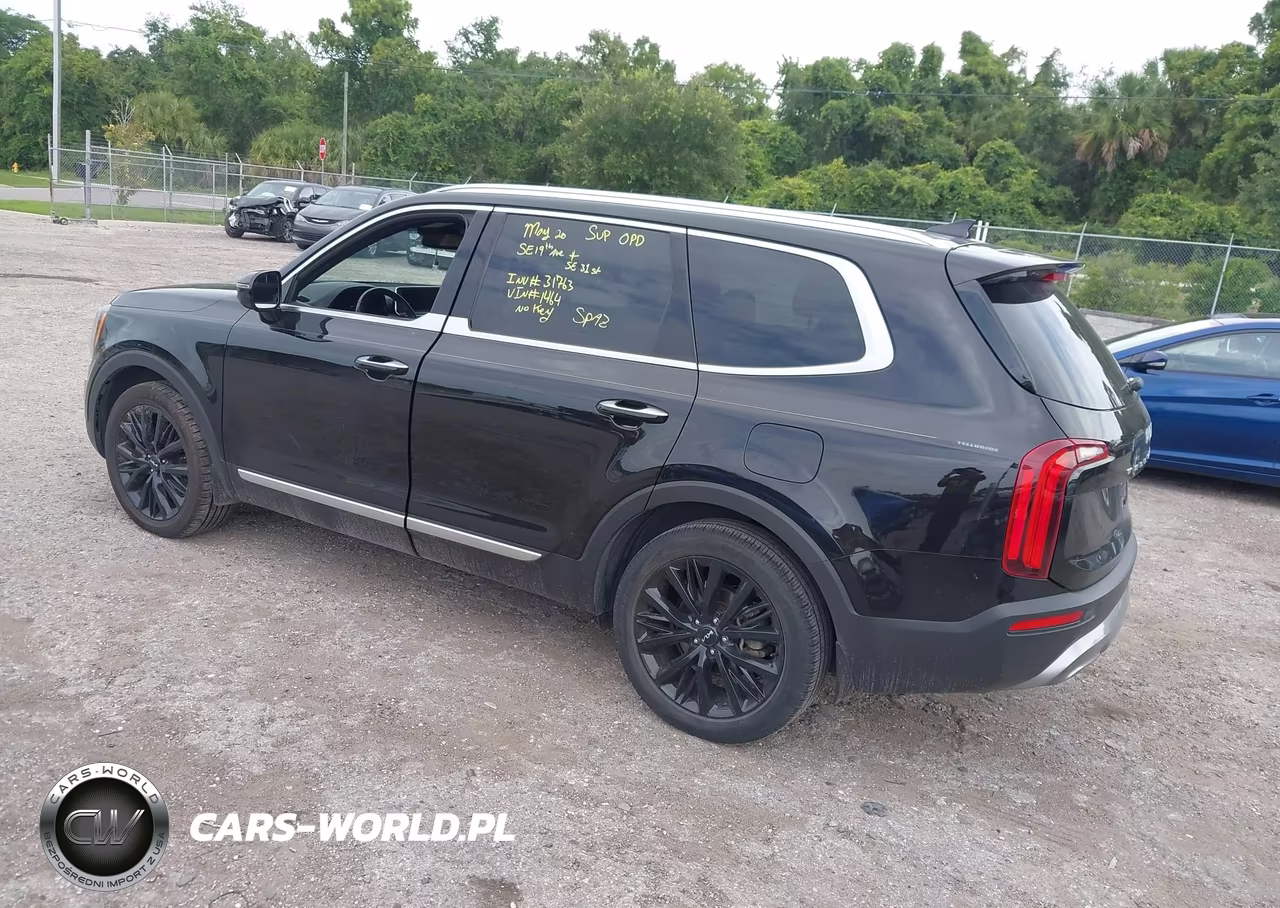 2022 Kia Telluride Sx VIN:5XYP54HC1NG231464 - 3