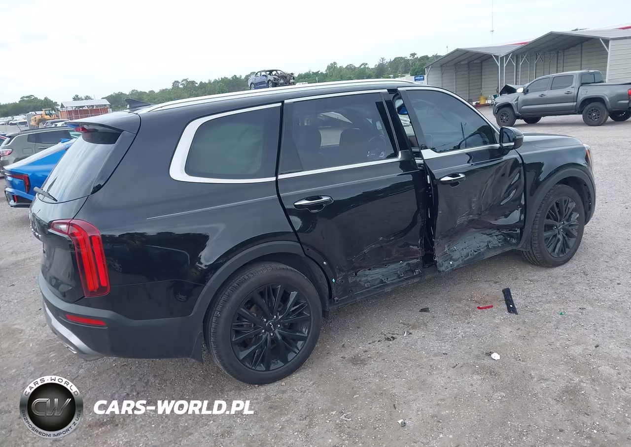 2022 Kia Telluride Sx VIN:5XYP54HC1NG231464 - 4
