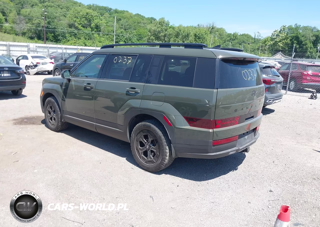 2024 Hyundai Santa Fe Xrt VIN:5NMP3DGL3RH033486 - 3