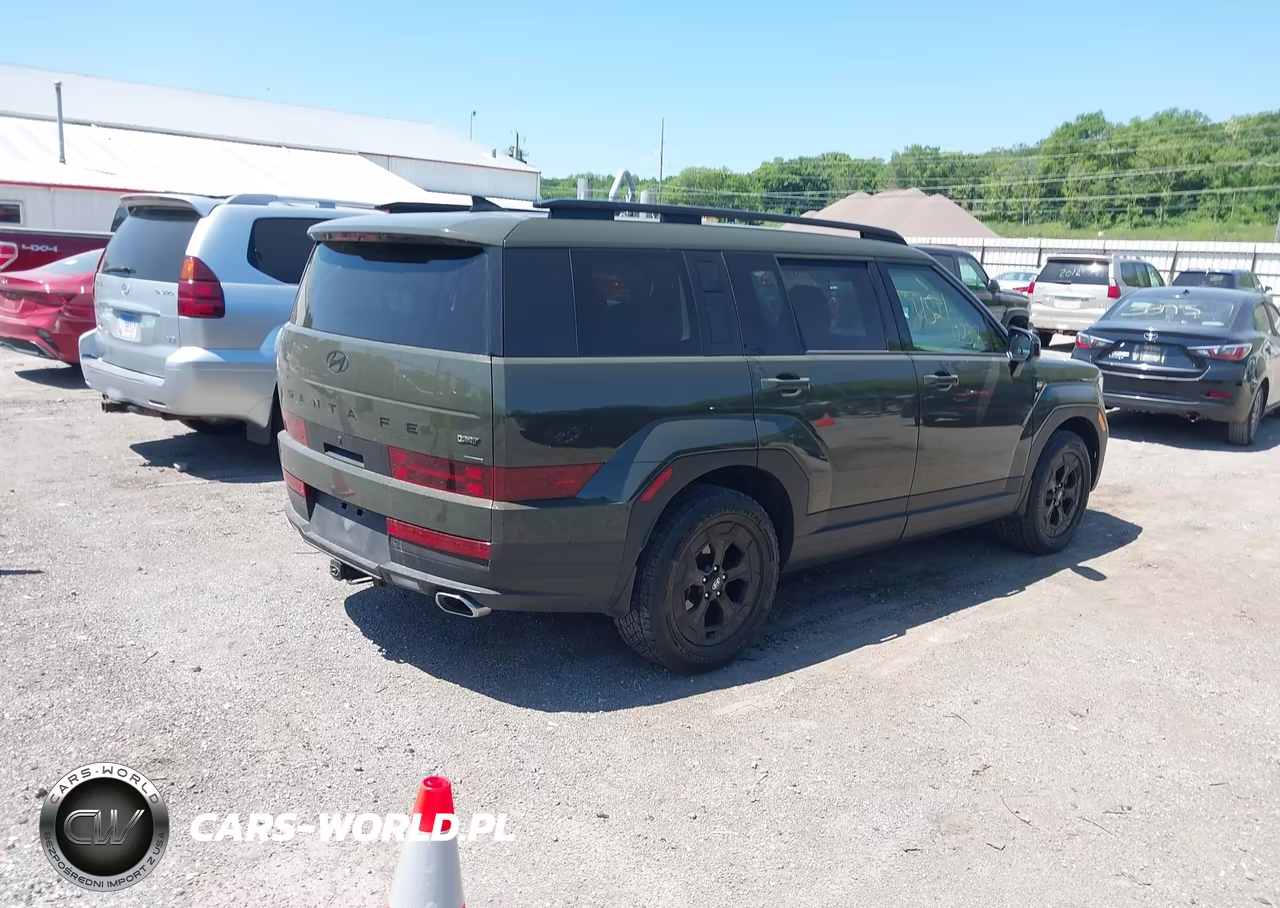 2024 Hyundai Santa Fe Xrt VIN:5NMP3DGL3RH033486 - 4
