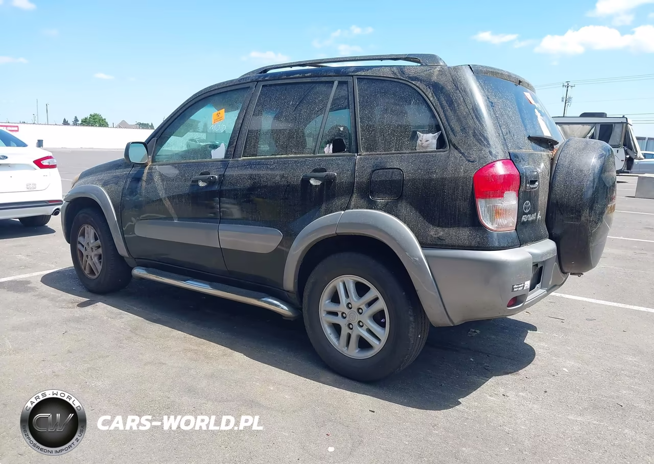 2001 Toyota Rav4 VIN:JTEGH20V610034228 - 3