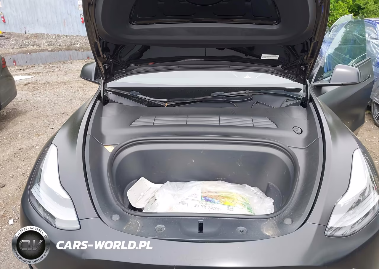 2023 Tesla Model Y Performance Dual Motor All-Wheel Drive VIN:7SAYGDEF2PF863870 - 10