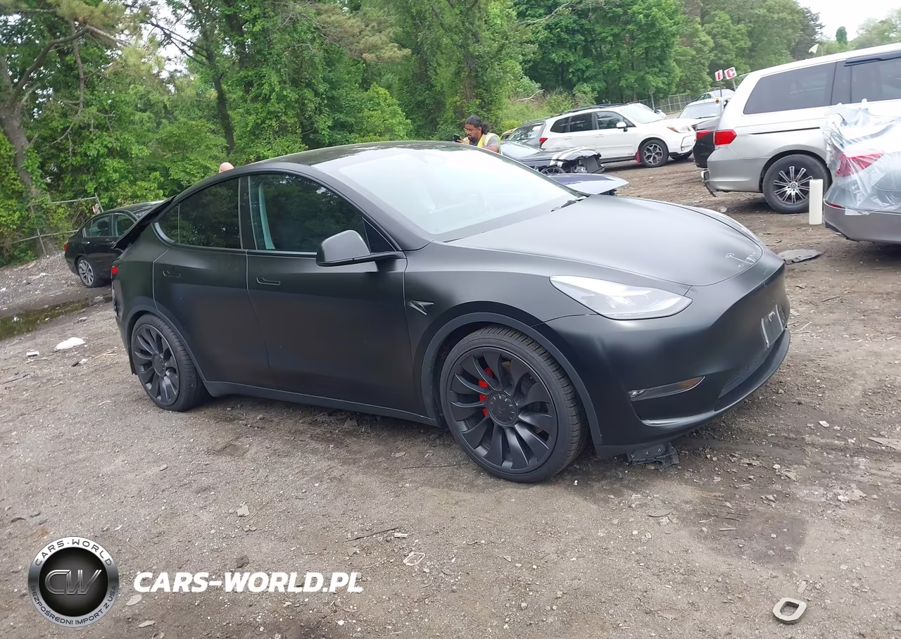 2023 Tesla Model Y Performance Dual Motor All-Wheel Drive VIN:7SAYGDEF2PF863870 - 12