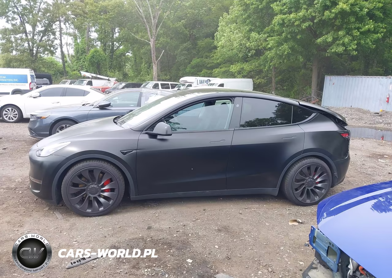 2023 Tesla Model Y Performance Dual Motor All-Wheel Drive VIN:7SAYGDEF2PF863870 - 13