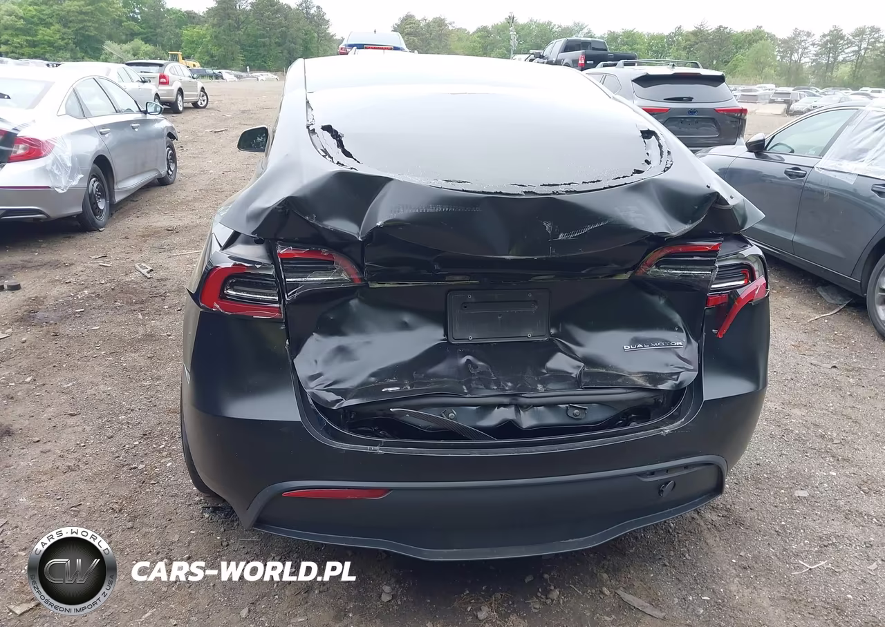 2023 Tesla Model Y Performance Dual Motor All-Wheel Drive VIN:7SAYGDEF2PF863870 - 6