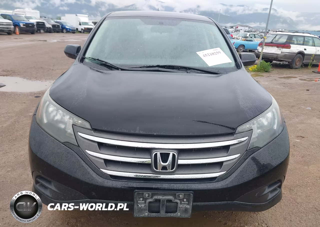 2014 Honda Cr-V Lx VIN:2HKRM4H34EH689892 - 12