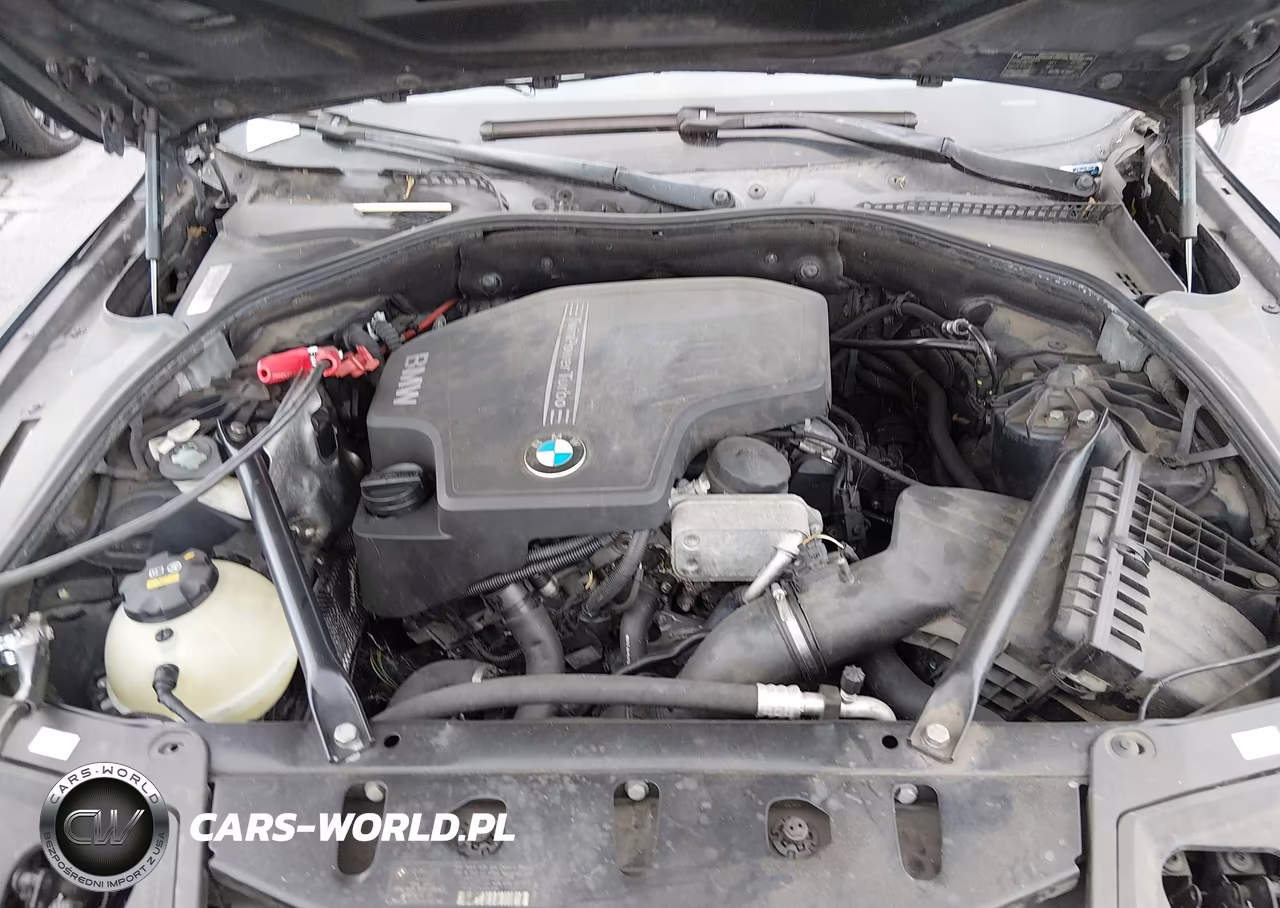 2014 BMW 528I VIN:WBA5A5C50ED505895 - 10