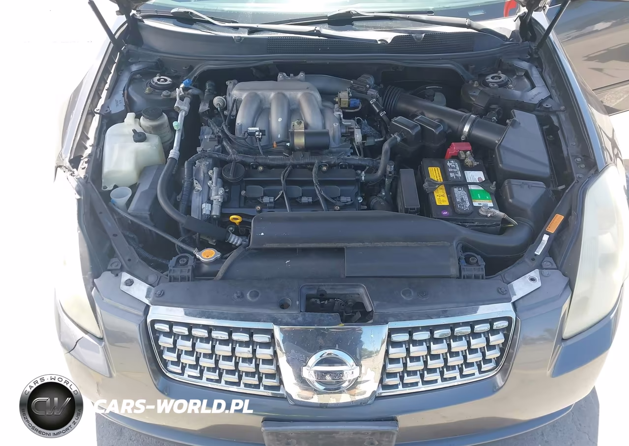 2004 Nissan Maxima 3.5 Se VIN:1N4BA41E54C914682 - 10