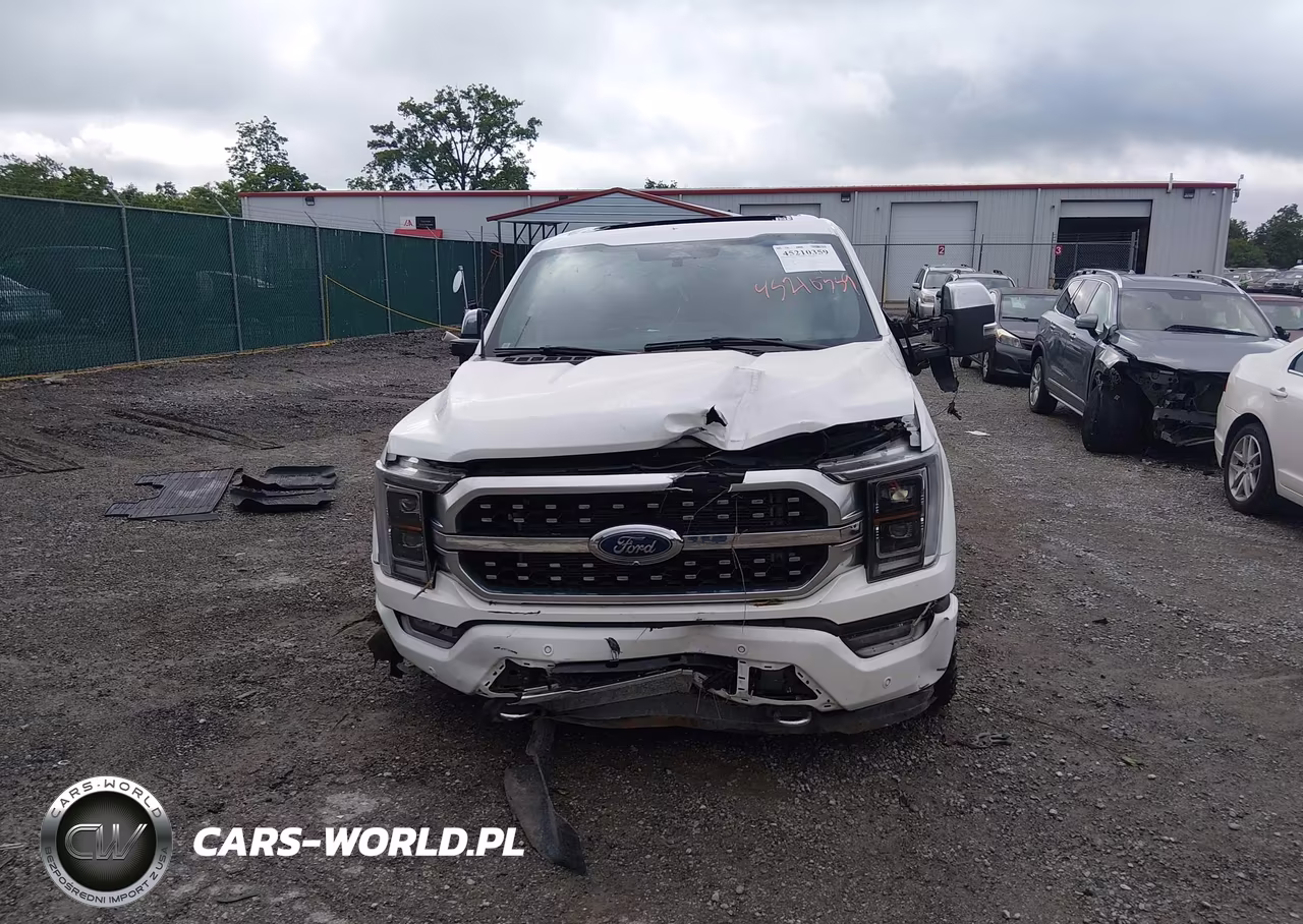 2023 Ford F-150 Platinum VIN:1FTFW1E88PFC38070 - 13