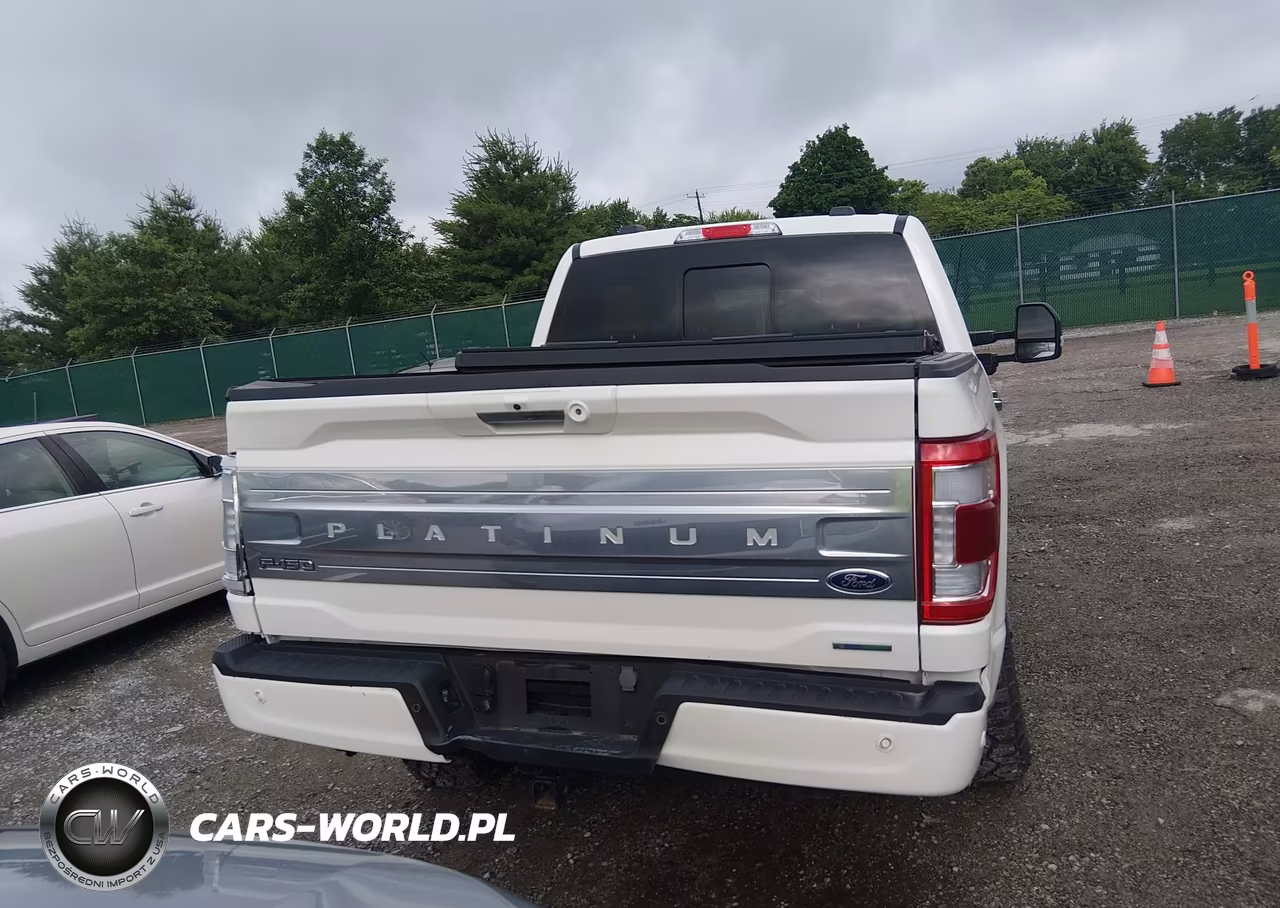 2023 Ford F-150 Platinum VIN:1FTFW1E88PFC38070 - 17