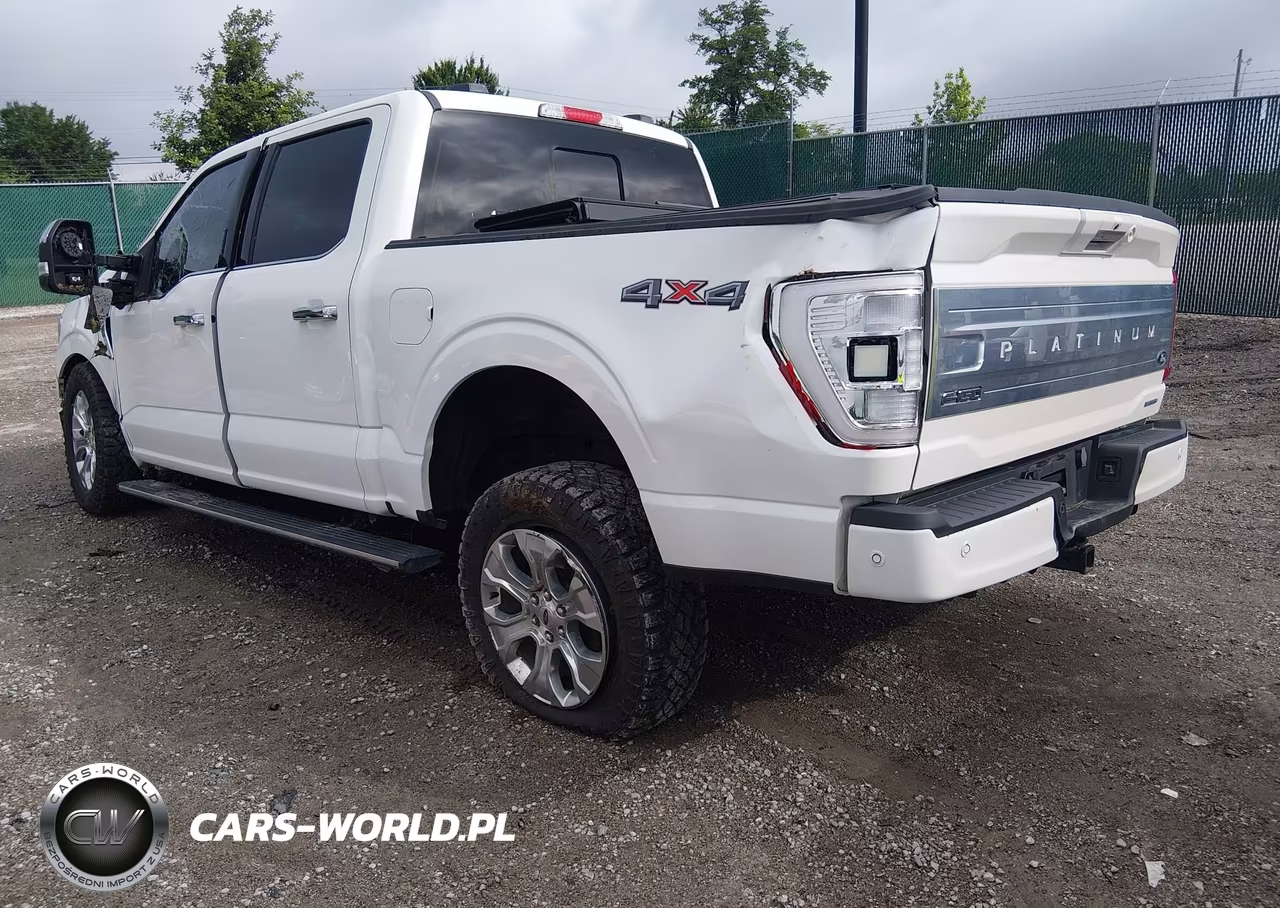 2023 Ford F-150 Platinum VIN:1FTFW1E88PFC38070 - 3